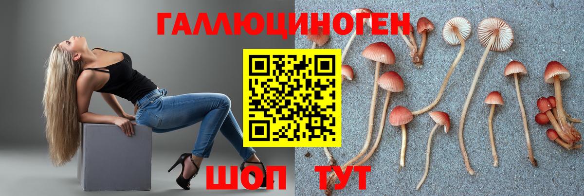 Псилоцибиновые грибы мицелий Острогожск
